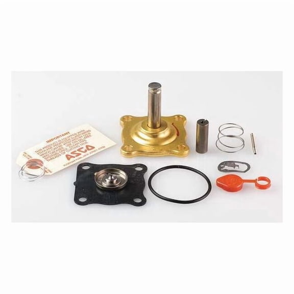 Asco Valve Rebuild Kit,With Instructions 302307