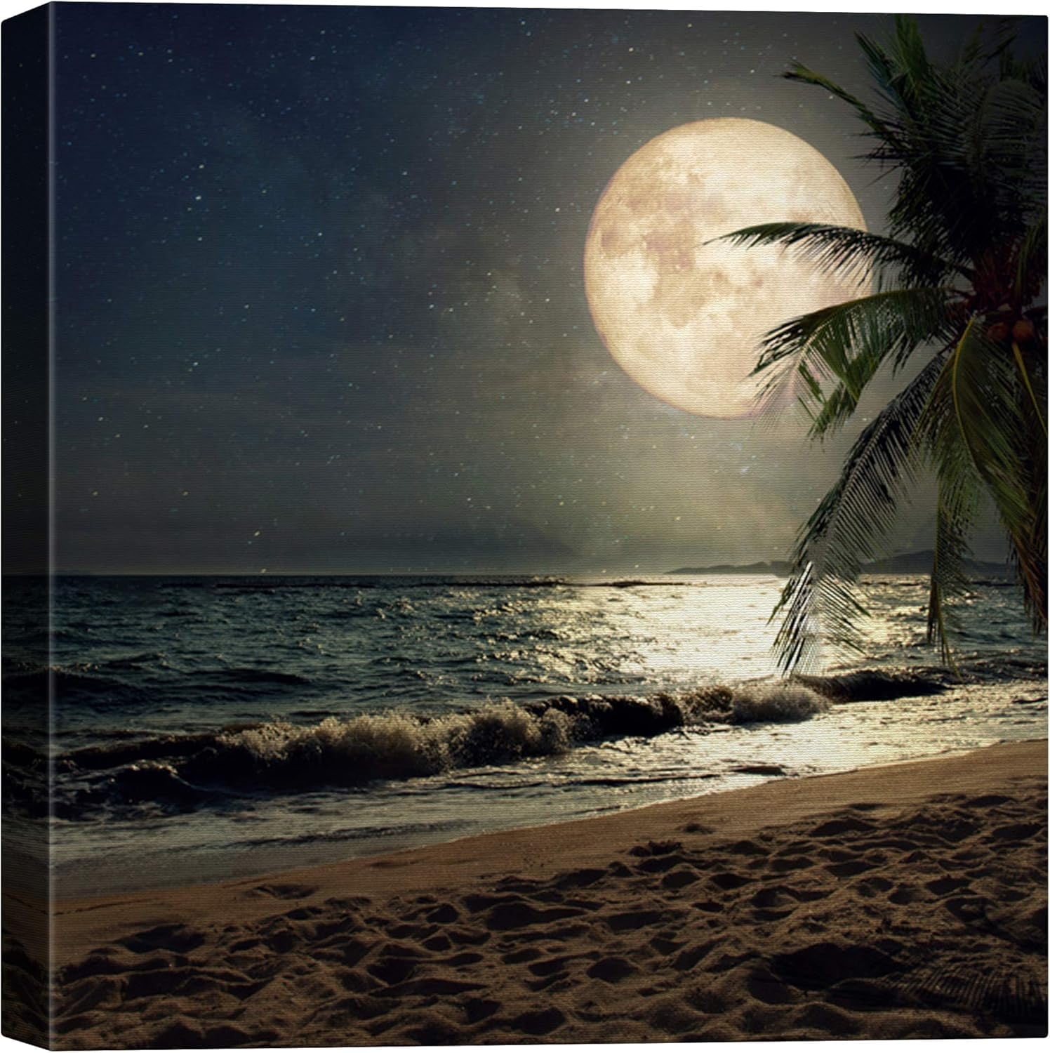 Moon Illuminating Blue Ocean Canvas Print Wall Art
