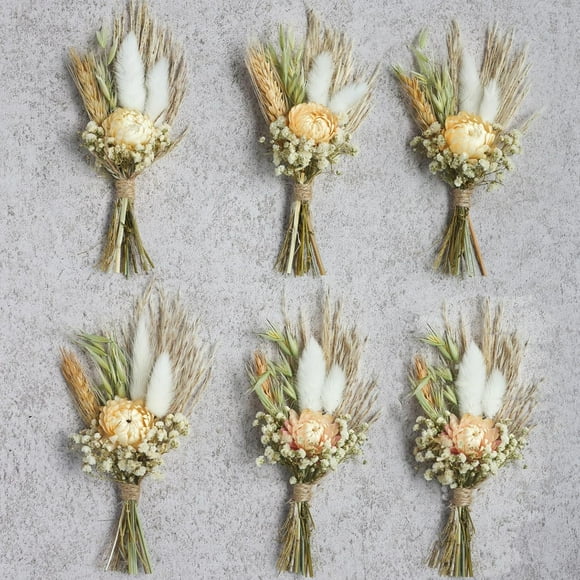 Asdg12s-Mini Dried Flower Bouquets for Bridesmaid Proposal Gift Boxes, Birthday Cake Arrangements, Boutonnieres, Small Vases for Table centers, Bohemian Wedding Decorations, Bridal Shower Favors.