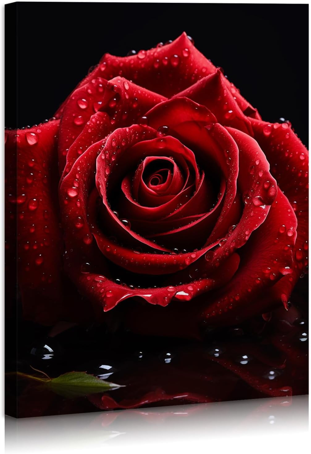 Red Rose Print on Canvas with Black Background, 16x12 inches
