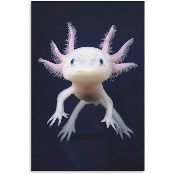 Asdg12s-Wall Art Reptile Animal Axolotl Birthday Gifts Decorations Canvas Poster Printing Decor Marine Life for Living Room Kids Bedroom Wall Decor And Home Decor 12x18inchs