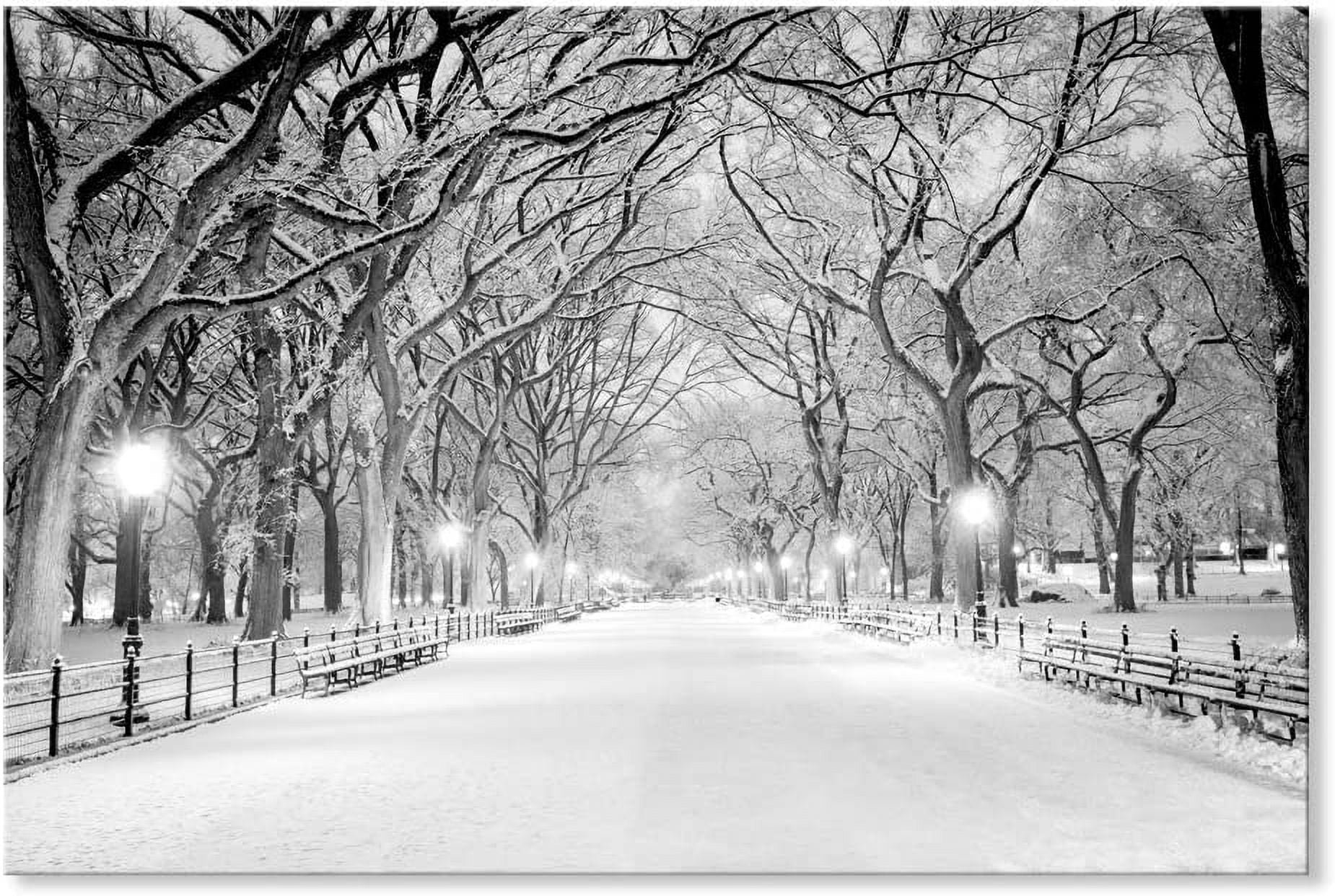 Snowy Central Park Black and White Framed Canvas Print