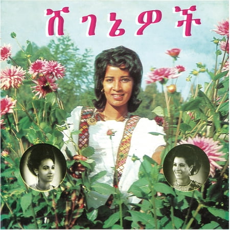 Aselefech Ashine - Beauties - Music & Performance - Vinyl