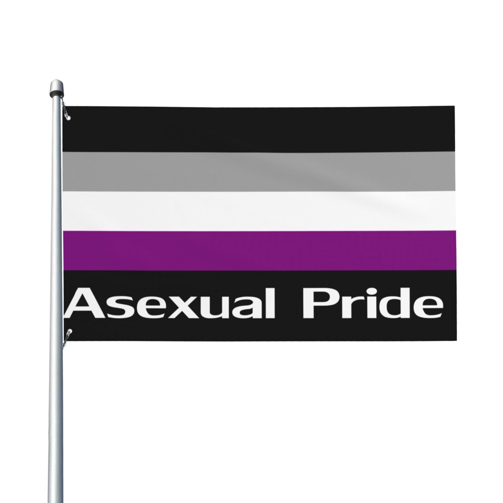 Asexual Pride Flag Garden Flag Welcome Flag Courtyard Party Slogan ...