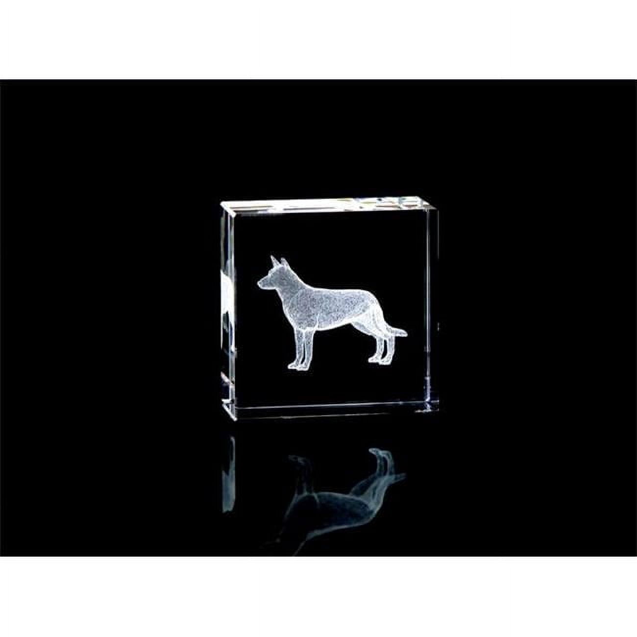 Asfour Crystal 1162-50-86 2 L x 2 H x 1 W in. Crystal Laser 