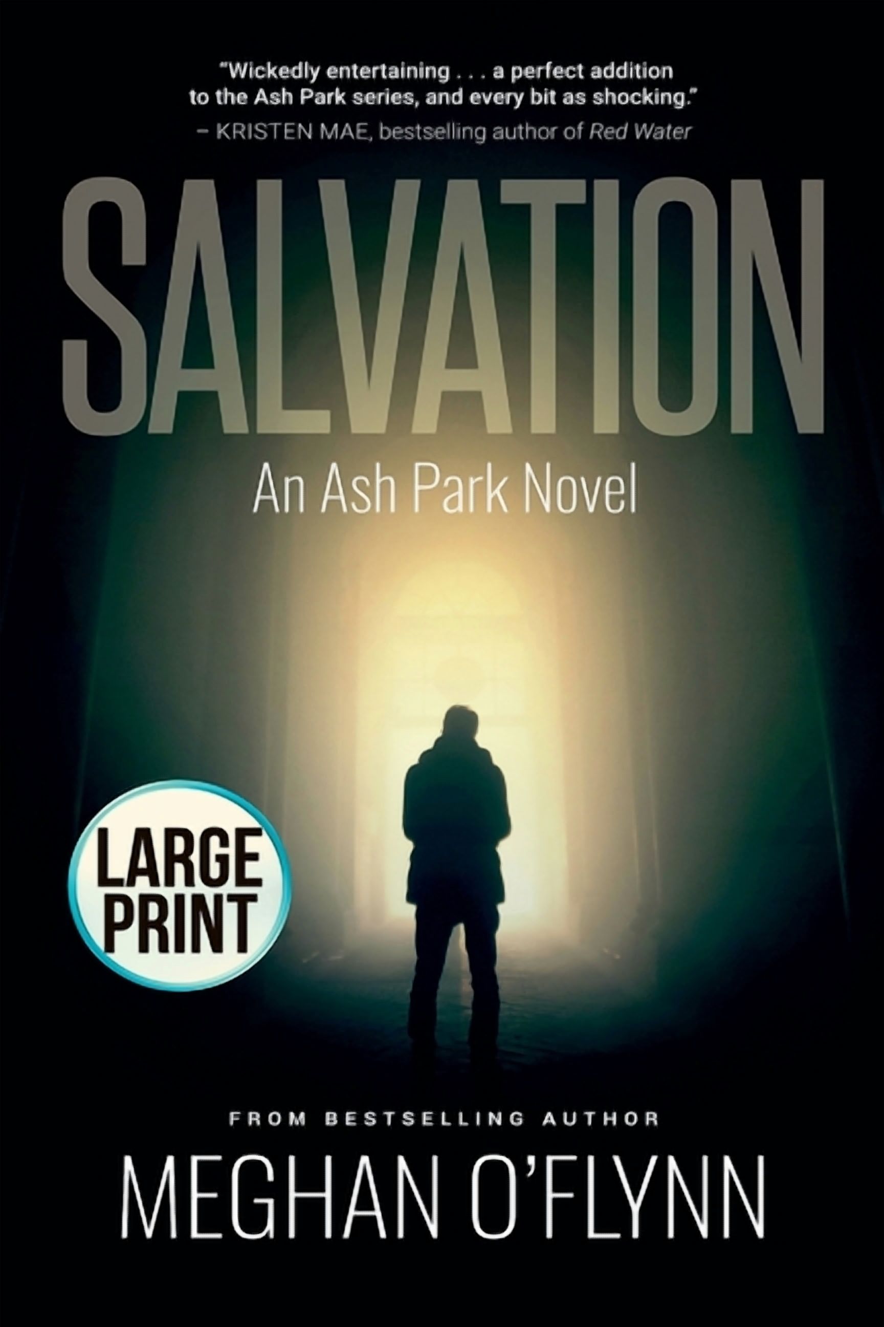 Ash Park Salvation: Large Print, Book 1, (Paperback)