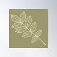 thumbnail image 1 of Ash Tree Green Poster Wall Art, Modern Wall Decor For Living Room Bedroom, 30x30 UNFRAMED, 1 of 3