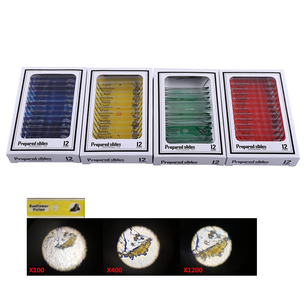 Ashata A Set Plastic Prepared Microscope Slides Animals Insects Plants