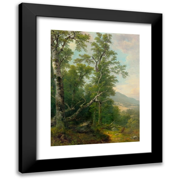 Asher Brown Durand 14x18 Black Modern Framed Museum Art Print Titled - Study Of Trees (1850)