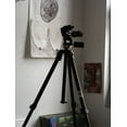 thumbnail image 1 of Asher Penn: Nothing Nothing Nothing Nothing 2004-2007 (Paperback), 1 of 1
