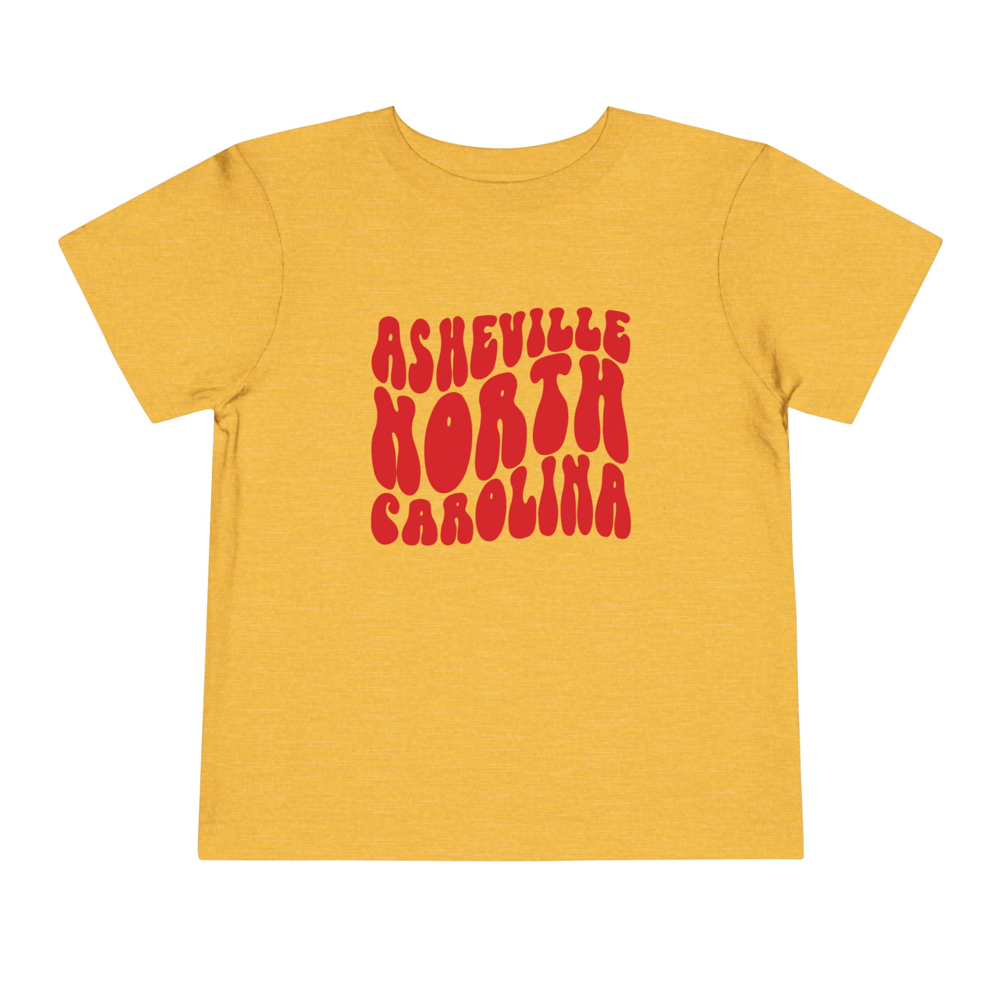 Asheville North Carolina NC Toddler Shirt Gifts Boy Girl Size 2T-5T ...