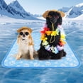 thumbnail image 1 of Aship Dog Cooling Mat, 36'' x 27'' Self-Cooling Mat for Dog, Arc-Chill Cooling Fiber & Color Changing Pet Pad for Hot Summer, Washable Non-Toxic & Foldable, 1 of 10