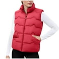 thumbnail image 1 of Ashirexll Puffer Vest Women, Womens Winter Coats, Solid Color Stand Up Collar Outerwear Zippered Double Pocket Sleeveless Hoodless Parkas, 1 of 6