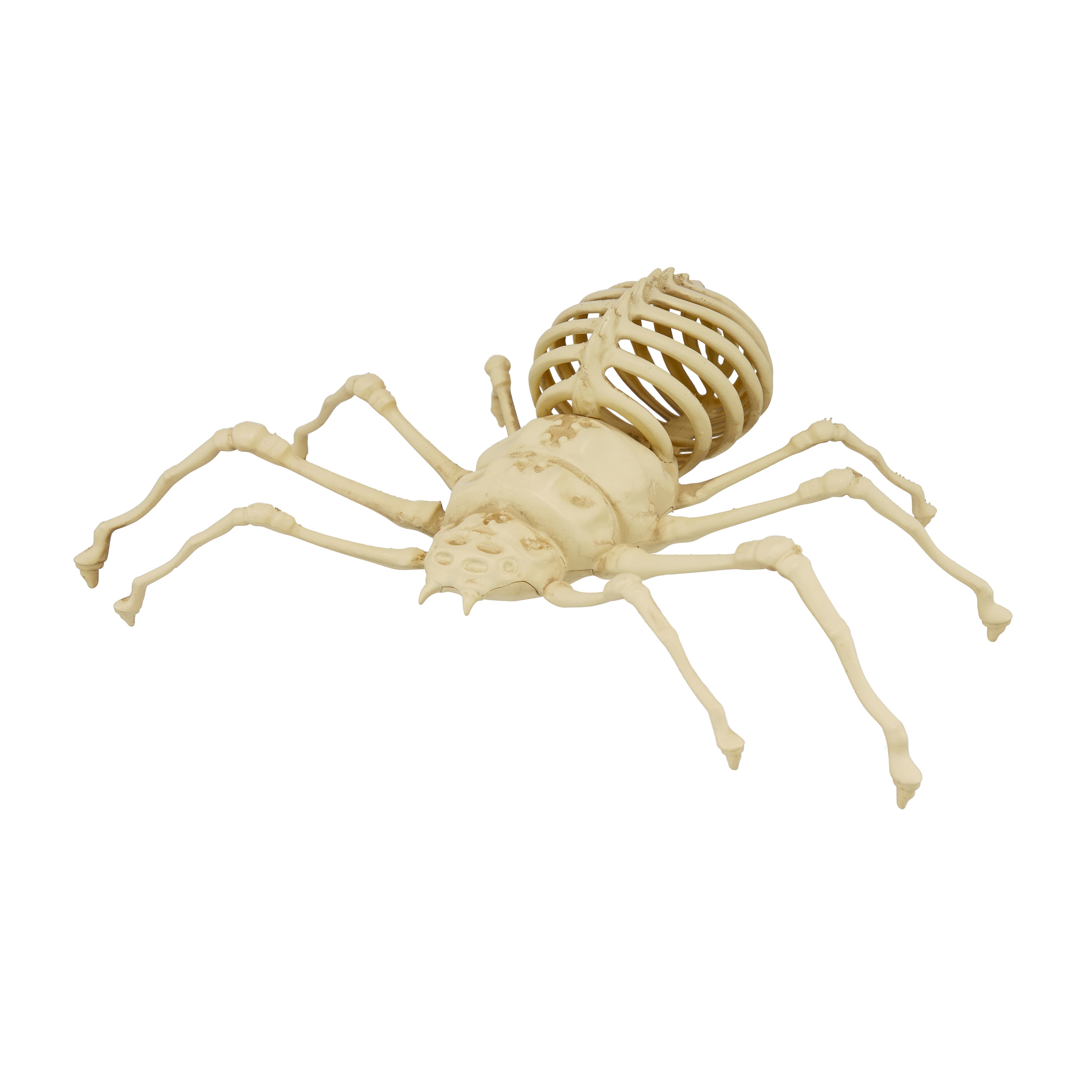 Ashland 10” Spider Skeleton Halloween Decorations