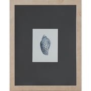 Ashland 11 x 14 Blue Spotted Shell Art Wall Decor , Summer Home Decor