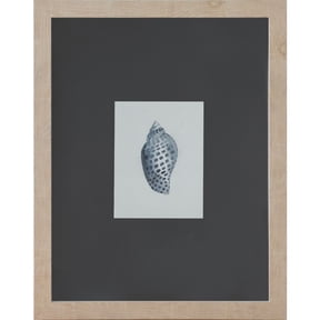 Ashland 11" x 14" Blue Spotted Shell Art Wall Decor , Summer Home Decor