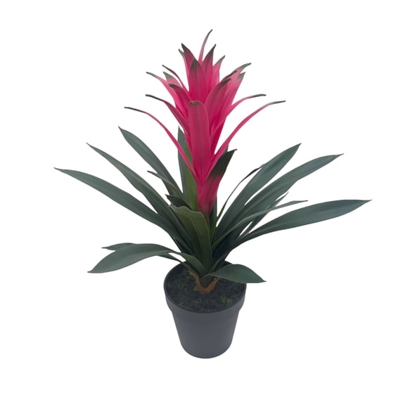 Ashland 18" Potted Bromeliad Plant , Summer Floral for Crafts, Occastions, and Home Decor