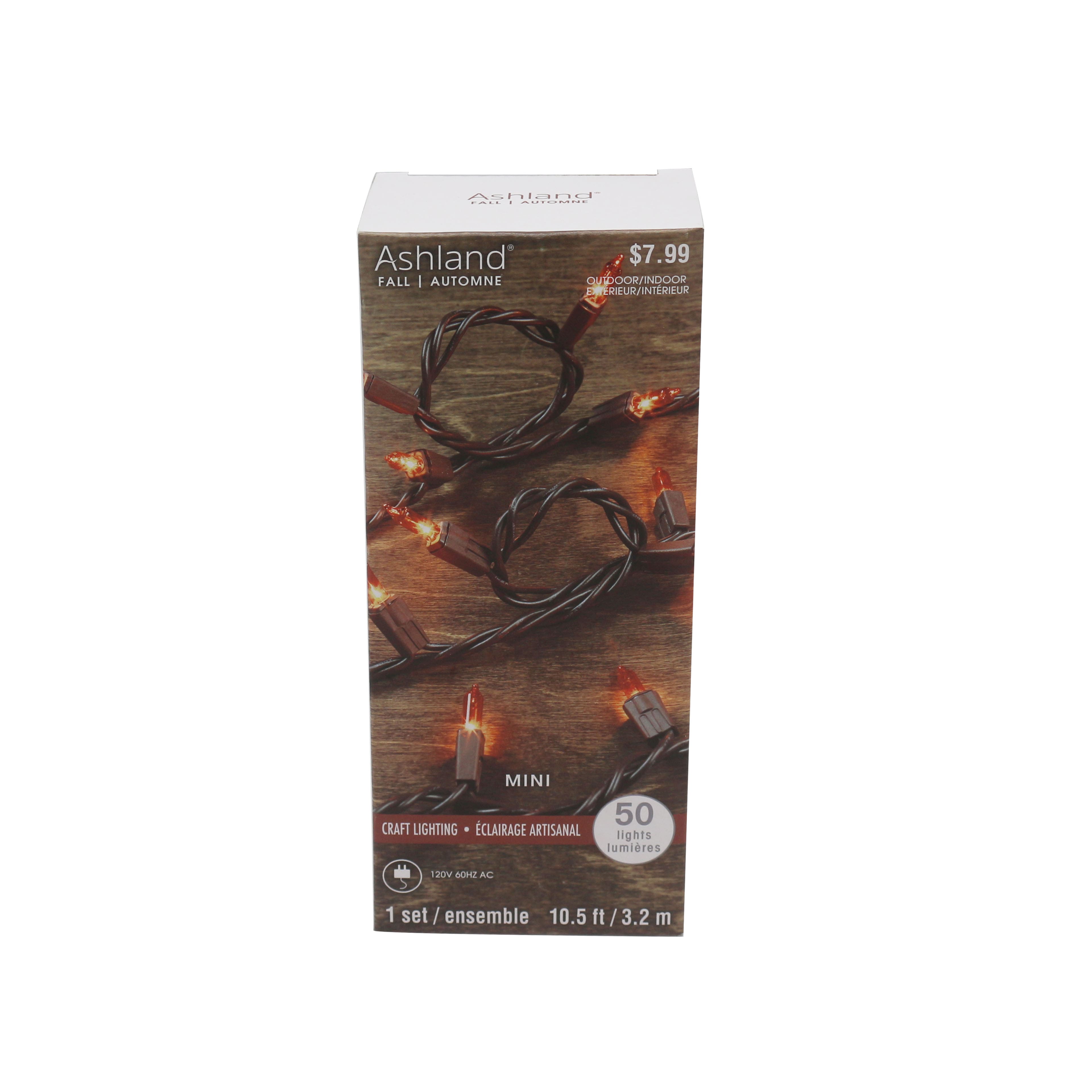 Ashland 50ct. Light Orange Mini Crafting Lights, Fall Décor