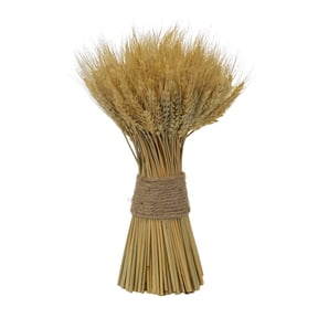 Ashland Dried Wheat Tabletop Decor Brown 10.5" fall decor