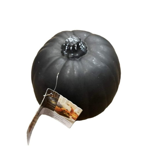 Ashland Halloween Craft Pumpkin 7in