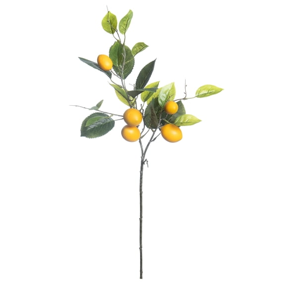 Ashland Lemon Branch, 31" , 6 Pack