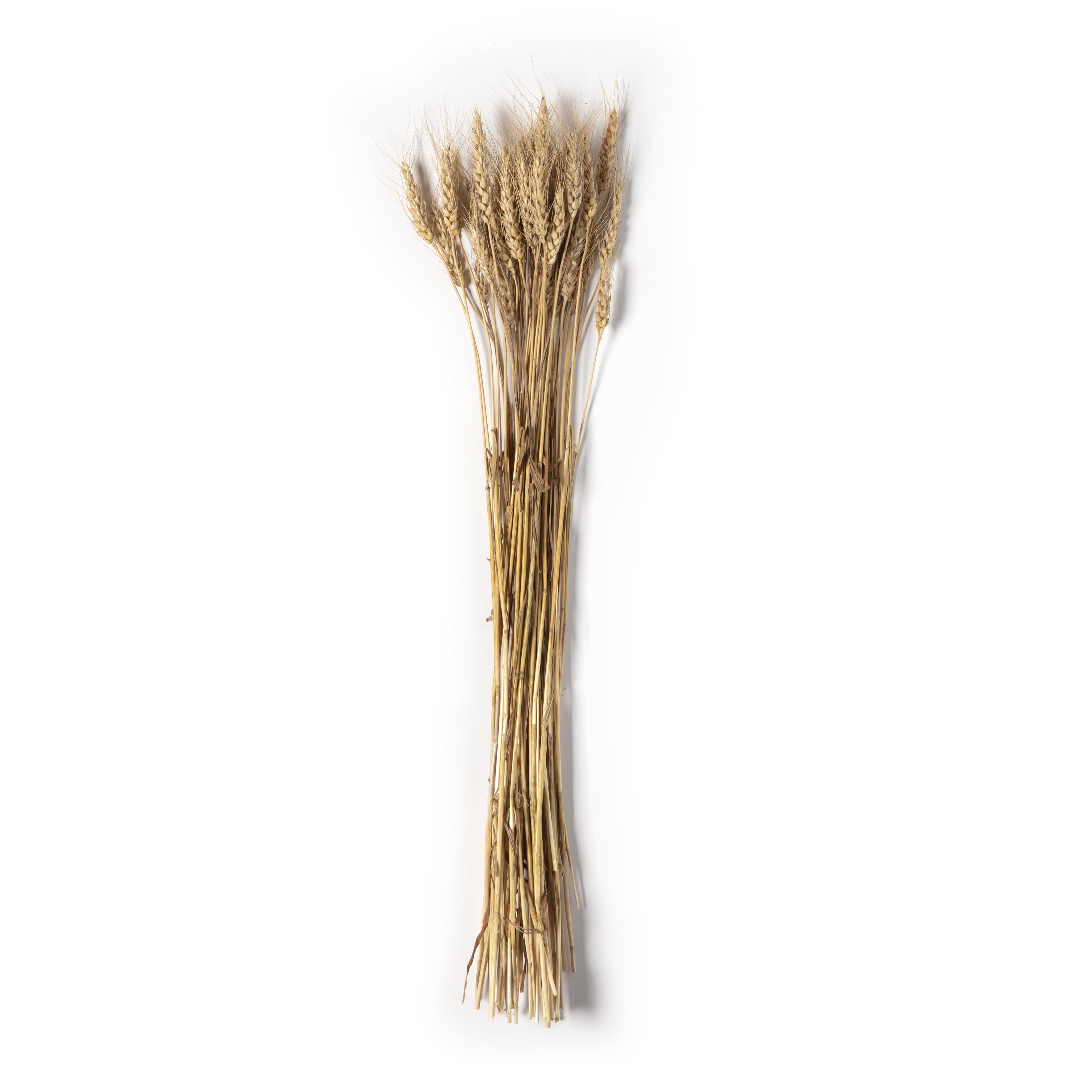Ashland® Natural Wheat Bunch - Walmart.com