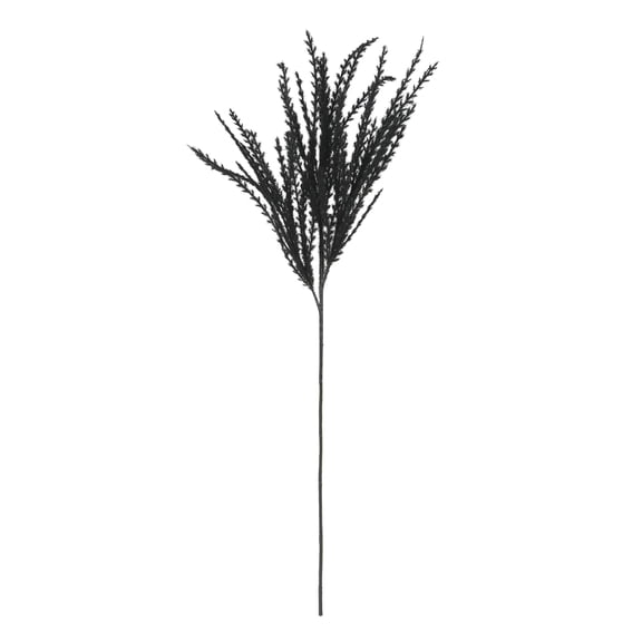 Ashland Pampas Grass Stem - Artificial Tall Plume Faux Floral Decoration - Black - 31" - 12-Pack