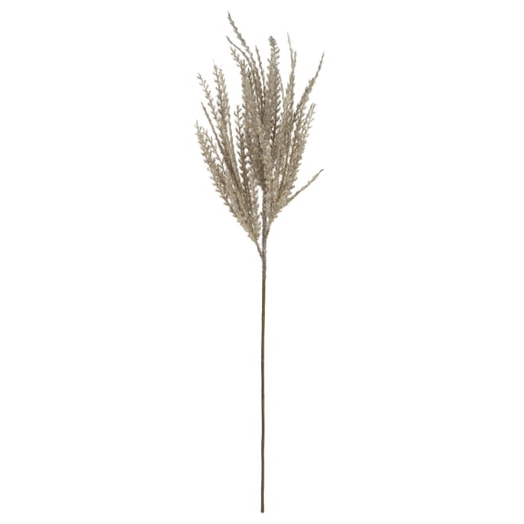 Ashland Pampas Grass Stem - Artificial Tall Plume Faux Floral Decoration - Light Brown - 31" - 12-Pack