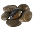 thumbnail image 1 of Ashland River Rocks Decorative Stones, 1/2 lb. Bag, 1 of 1