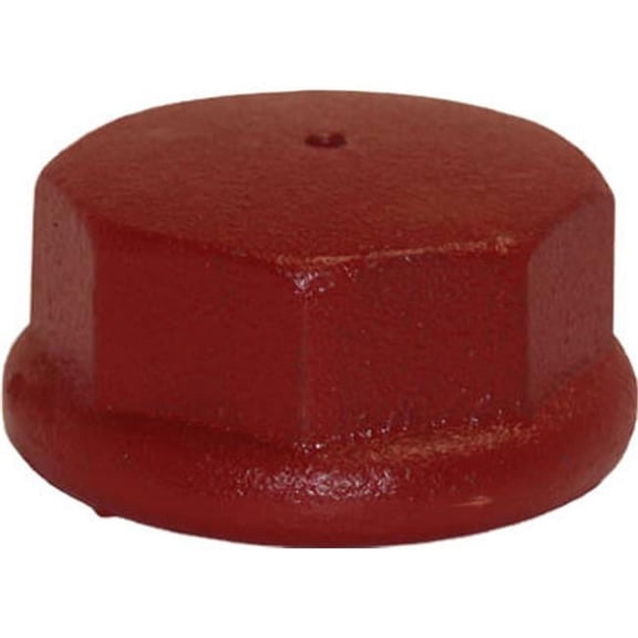 Ashland Water Grp_Eco Flo Products 1-1/4" Drive Cap 6 Pack