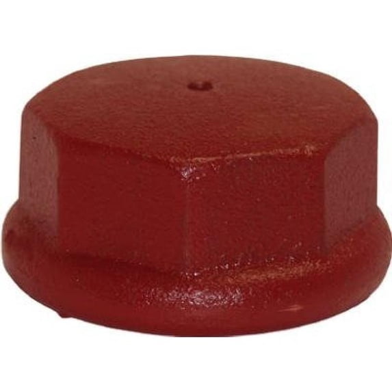 Ashland Water Grp_Eco Flo Products 1-1/4" Drive Cap 6 Pack