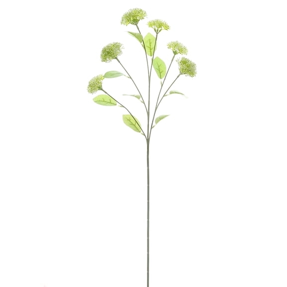 Ashland White Queen Anne's Lace Stem, 29.75" , 12 Pack
