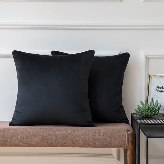 Ashler Soft Velvet Throw Pillow Cushion Home Decorative, Black, 18 x 18 inch, 2 Packs