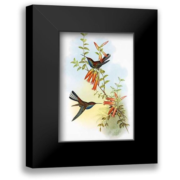 Ashley, Aaron 11x14 Black Modern Framed Museum Art Print Titled - UroMuseumoa Bougieri