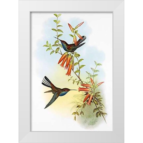 Ashley, Aaron 11x14 White Modern Wood Framed Museum Art Print Titled - UroMuseumoa Bougieri