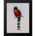 thumbnail image 1 of Ashley, Aaron 19x24 Black Modern Framed Museum Art Print Titled - Trogon Mexicanus, 1 of 4