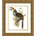 thumbnail image 1 of Ashley, Aaron 26x31 Gold Ornate Wood Framed with Double Matting Museum Art Print Titled - Pteroglossus Hypoglaucus, 1 of 4