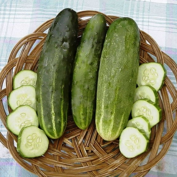 Ashley Cucumber Garden Seeds - 1 Oz - Non-GMO, Heirloom Vegetable Gardening Seed - Cucumis sativas