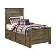 thumbnail image 1 of Ashley Furniture Trinell Twin Panel Bed with Underbed Storage in Brown, 1 of 3