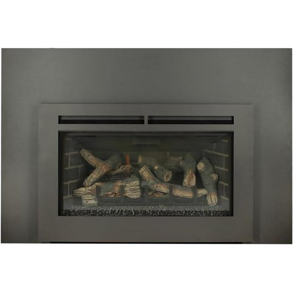 Ashley Hearth AG26i 30 in. Fireplace Insert