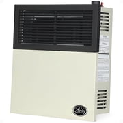 Ashley Hearth Products New 11,000 BTU Direct Vent Propane Wall Mount Heater