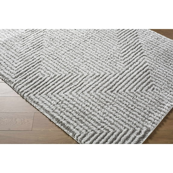 BoutiqueRugs Ashlyn Contemporary Area Rug - Light Slate, Gray - 5'3" x 7'