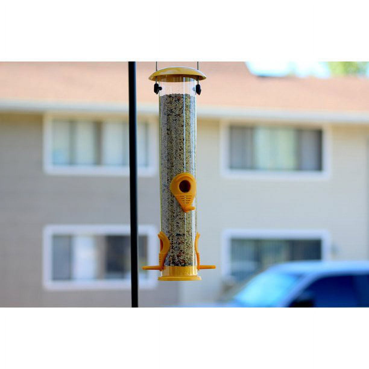 Ashman Bird Feeder, Metal Top and Bottom, Spacious Design, Attractive & Long Lasting, Fill it with Sunflower Black Oil Seeds, Clean and Fill, Great Gift for Friends and Family, Red Ashman Bird Feeder, Metal Top and Bottom, Spacious Design, Attractive & Long Lasting, Fill it with Sunflower Black Oil Seeds, Clean and Fill, Great Gift for Friends and Family, Red