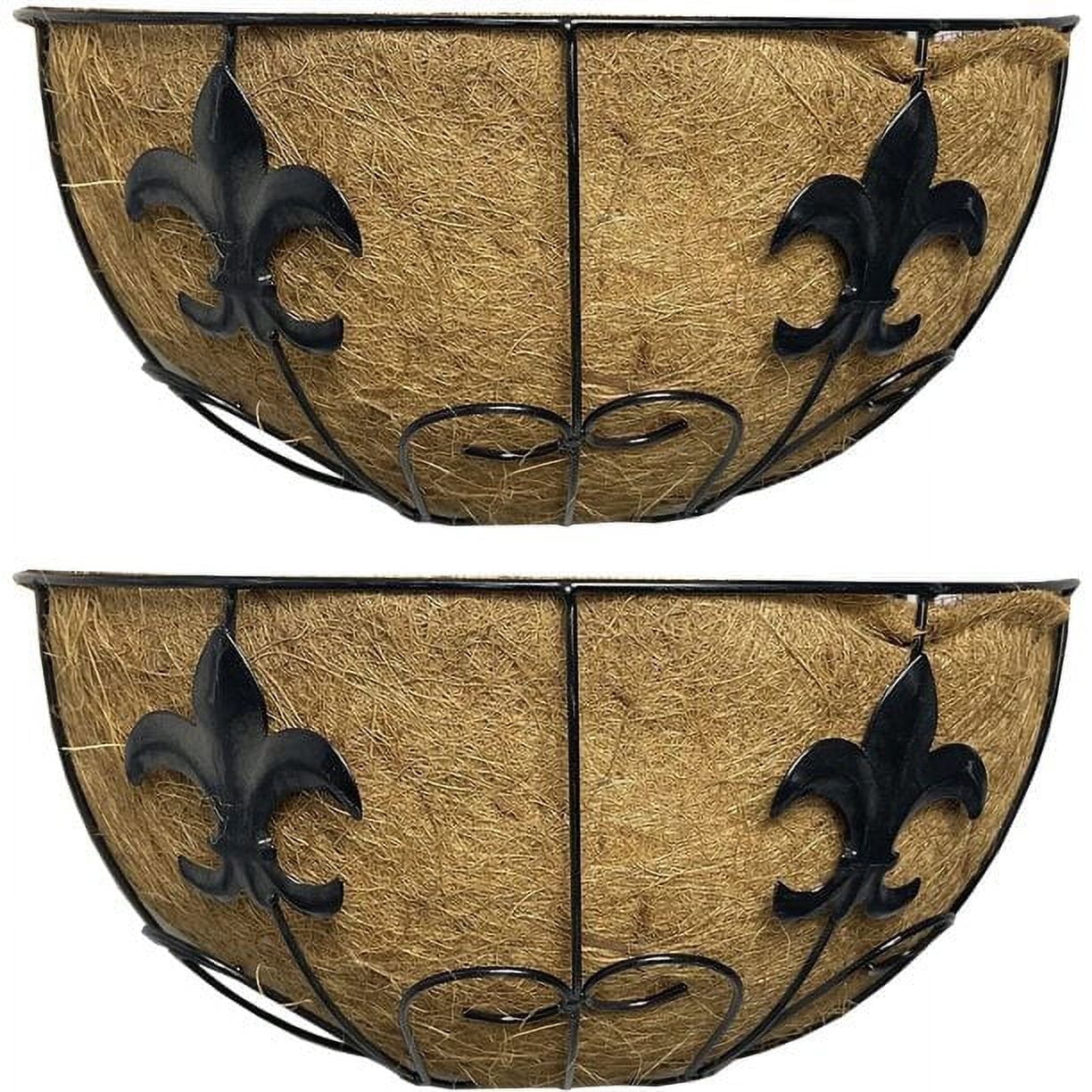 Black Metal Wall Hanging Plant Baskets with Coco Liners, 2 Pack