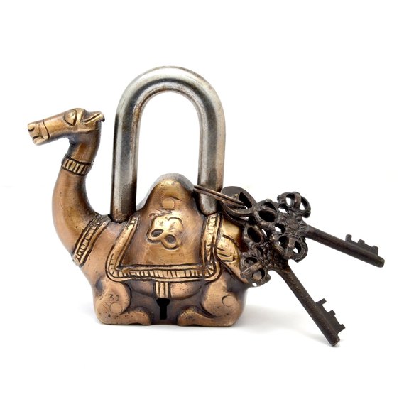 Ashopi Pad Lock in Camel Shape Full Functional with 2 Keys - Gym Lock, Combination Locks for Gates, Toolbox, Luggage, Cabinet, Bicycle, School, Home, Office