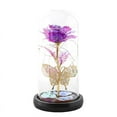 thumbnail image 1 of Ashosteey Glass Rose for Her,Forever Rose Birthday Gifts for Women, Rose Gift for Women,Light Up Rose Flower in Glass Dome,Gifts for Women Valentines Day/Christmas/Mothers Day/Anniversary, 1 of 1