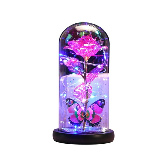 Ashosteey Glass Rose for Her,Forever Rose Birthday Gifts for Women, Rose Gift for Women,Light Up Rose Flower in Glass Dome,Gifts for Women Valentines Day/Christmas/Mothers Day/Anniversary