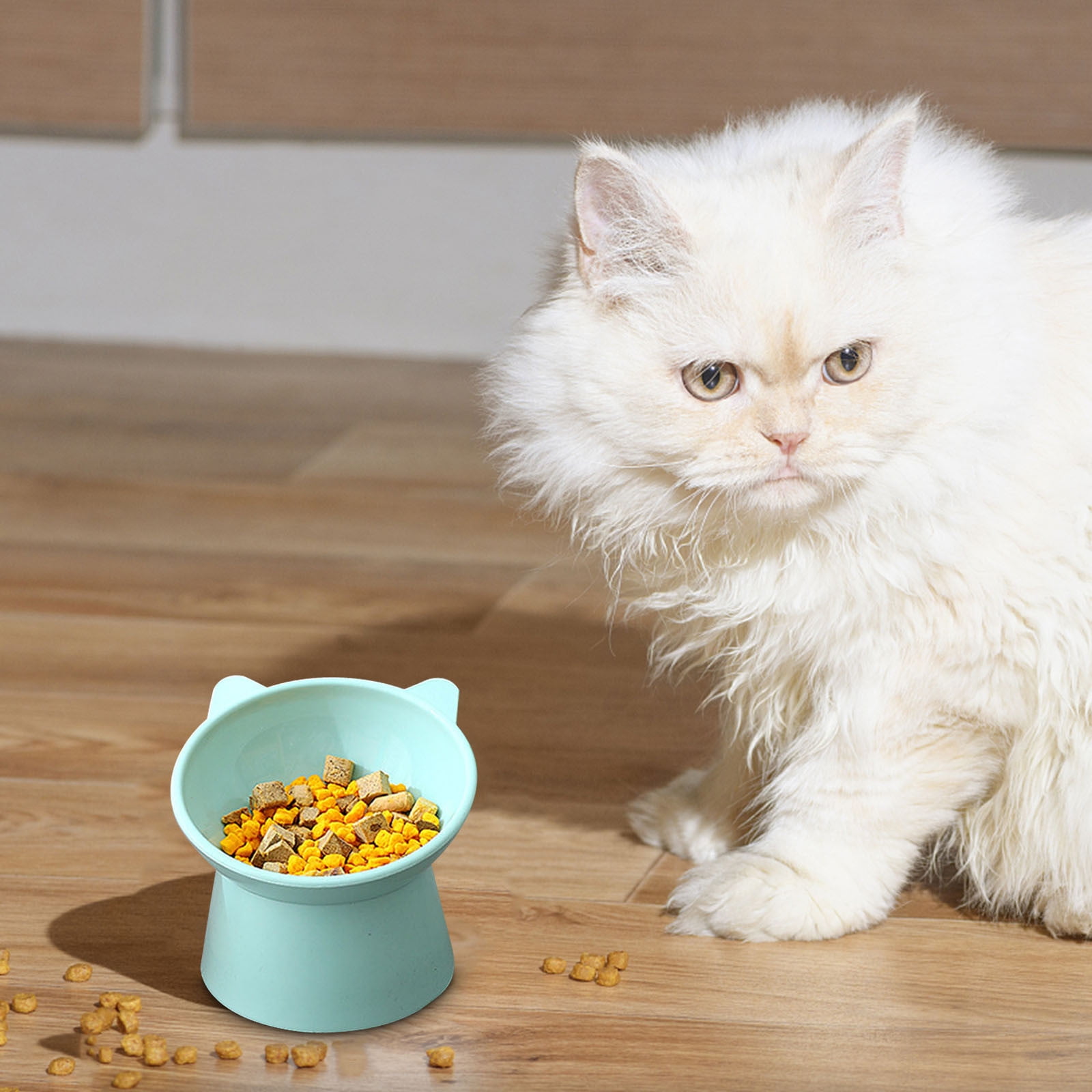 Ashosteey Plastic Raised Bowl Tilted 15 Degrees Elevated Cat Food and