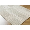 thumbnail image 1 of Ashtyn Traditional, Transitional Area Rug - Beige, Cream, Taupe - 2' x 3', 1 of 6