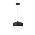 thumbnail image 1 of Ashwell 1 Light Black Pendant With Clear Glass, 1 of 5